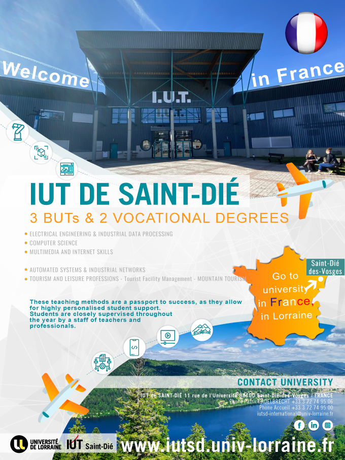 Affiche IUTSD-RI english